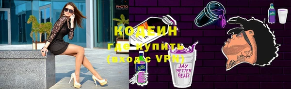 хмурый Белокуриха