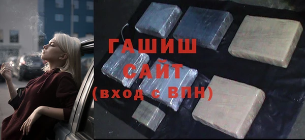 хмурый Аркадак