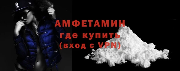 хмурый Белокуриха