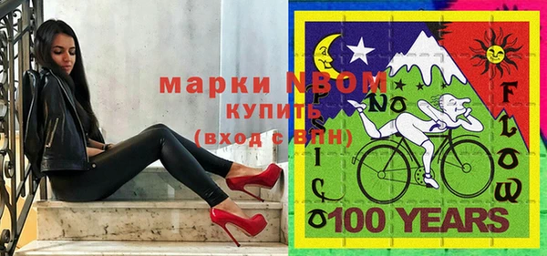 хмурый Белокуриха