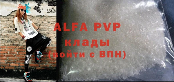 хмурый Белокуриха