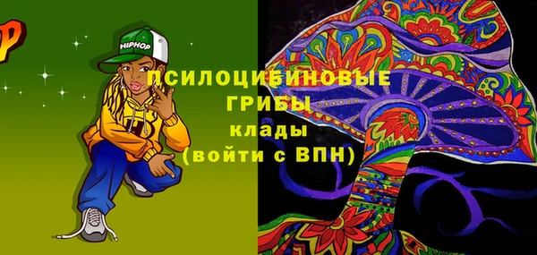 хмурый Белокуриха
