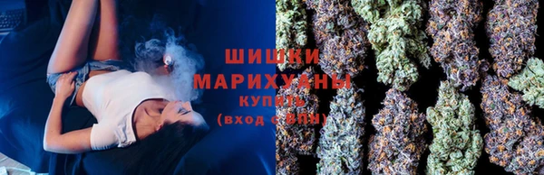 хмурый Белокуриха